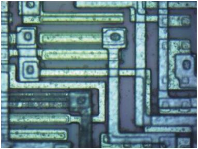 Microsc&oacute;pio metalogr&aacute;fico ereto INTJ-51D da inspe&ccedil;&atilde;o do semicondutor
