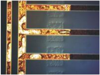 Microsc&oacute;pio metalogr&aacute;fico ereto INTJ-51D da inspe&ccedil;&atilde;o do semicondutor